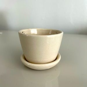 The Sill Succulent Planter